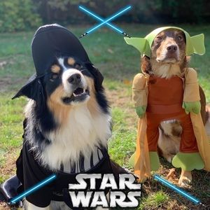 Meet your Posher, Jocelyn